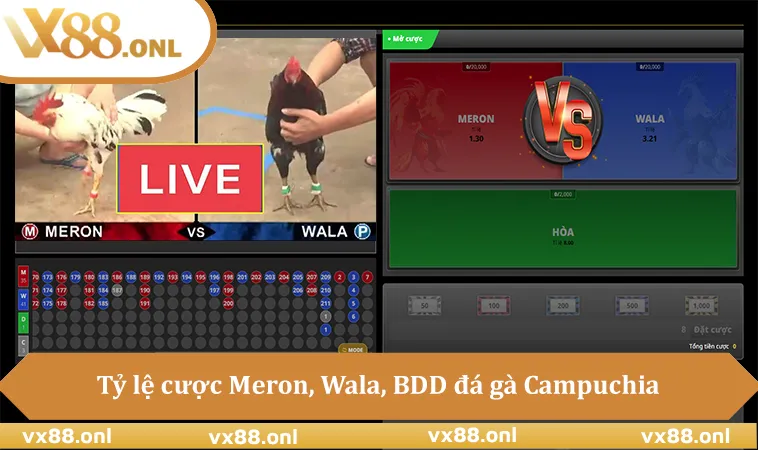 Tỷ lệ cược Meron, Wala, BDD đá gà Campuchia